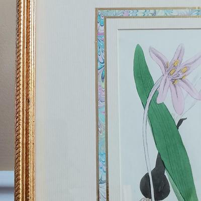 LOT 140: Antique Original Handpainted Botanical Lithograph 'Meadow Saffron' by James de Clark Sowerby with COA