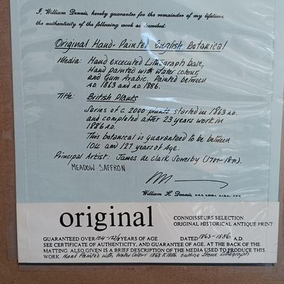 LOT 140: Antique Original Handpainted Botanical Lithograph 'Meadow Saffron' by James de Clark Sowerby with COA