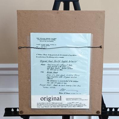 LOT 140: Antique Original Handpainted Botanical Lithograph 'Meadow Saffron' by James de Clark Sowerby with COA