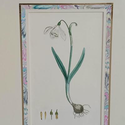 LOT 142: Antique Original Handpainted Botanical Lithograph 'Common Snowdrop' by James de Clark Sowerby with COA