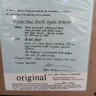 LOT 142: Antique Original Handpainted Botanical Lithograph 'Common Snowdrop' by James de Clark Sowerby with COA