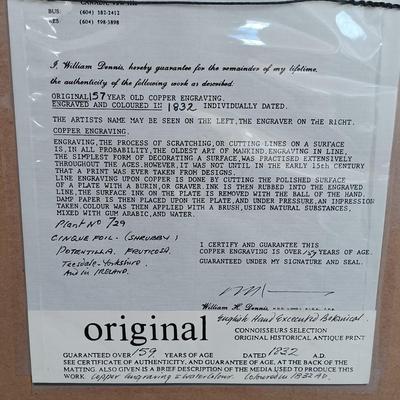 LOT 143: Antique Original Handpainted Botanical Copper Engraving 1832 with COA