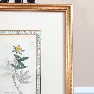 LOT 143: Antique Original Handpainted Botanical Copper Engraving 1832 with COA