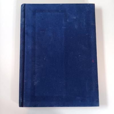 LOT 151: Vintage 1930 The Story of Ruth: Ze'ev Raban, 1952 The Bible in Pictures: 140 Illustrations by G. Dorè & More