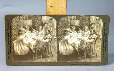 SUPER CUTE - GIRLS AND DOLLS TEA PARTY STEREOVIEW