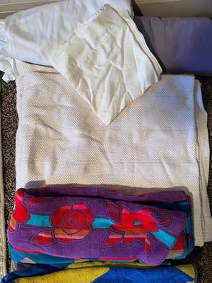 RUG, BEACH TOWELS AND WASHCLOTHS AND 2 FLAT SHEETS