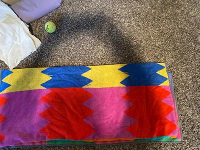 RUG, BEACH TOWELS AND WASHCLOTHS AND 2 FLAT SHEETS