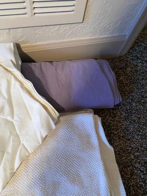 RUG, BEACH TOWELS AND WASHCLOTHS AND 2 FLAT SHEETS