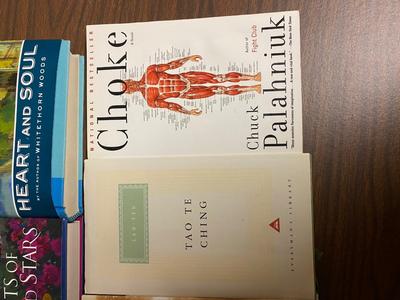 A VARIETY OF DIFFERENT NOVELS