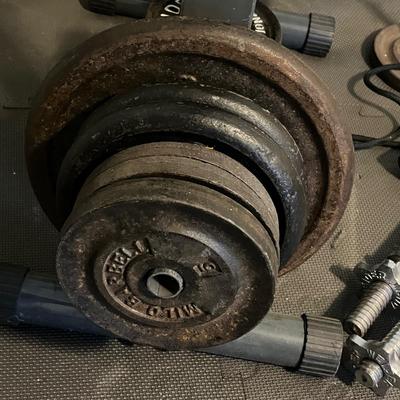 LOT 101W: Weightlifting Lot - Weight Plates, Rack, Bars - More Than 300 Pounds of Weight