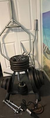 LOT 101W: Weightlifting Lot - Weight Plates, Rack, Bars - More Than 300 Pounds of Weight