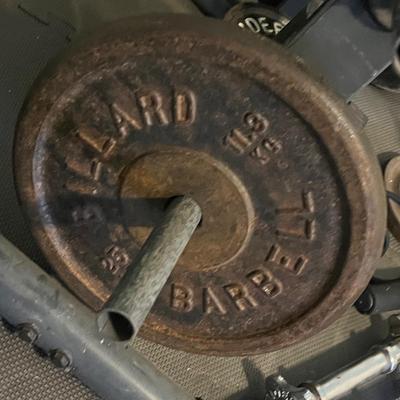 LOT 101W: Weightlifting Lot - Weight Plates, Rack, Bars - More Than 300 Pounds of Weight