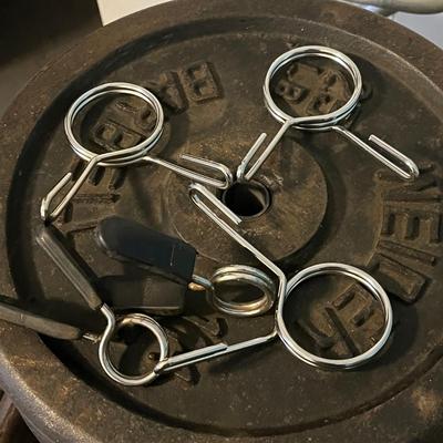 LOT 101W: Weightlifting Lot - Weight Plates, Rack, Bars - More Than 300 Pounds of Weight