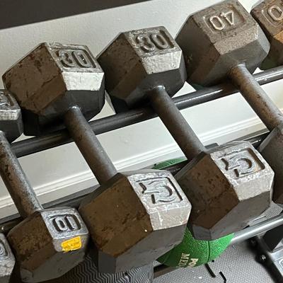 LOT 103W: Weightlifting Collection - Dumbbells, Rack and More
