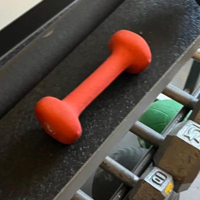 LOT 103W: Weightlifting Collection - Dumbbells, Rack and More