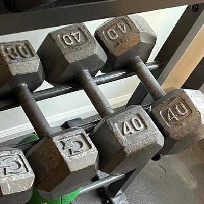 LOT 103W: Weightlifting Collection - Dumbbells, Rack and More