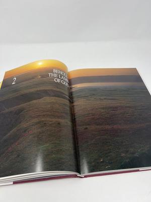 Large Coffee Table Books About Israel-Shapiro