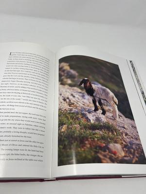 Large Coffee Table Books About Israel-Shapiro