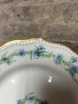 Haviland Limoges assortment