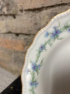 Haviland Limoges assortment