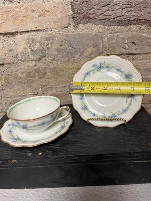 Haviland Limoges assortment