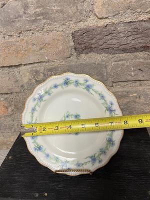 Haviland Limoges assortment