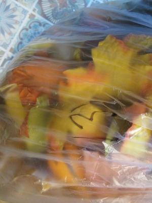 Fall Wreaths & Foliage #131