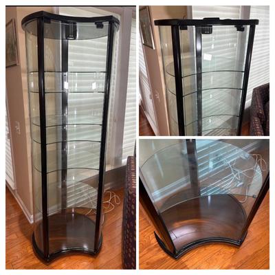 LOT 224: Glass Curio Cabinet Display