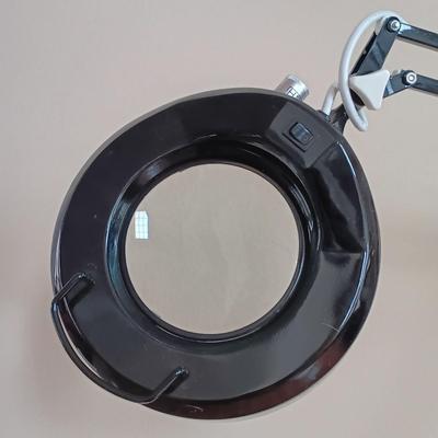 LOT 327: Magnifying Glass Floor Lamp