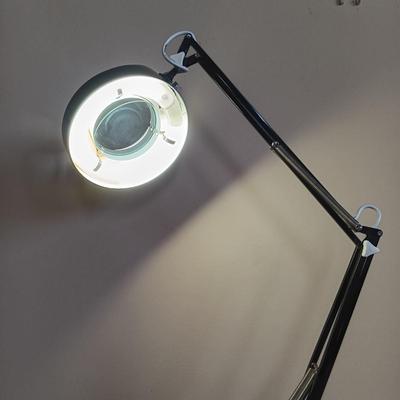 LOT 327: Magnifying Glass Floor Lamp