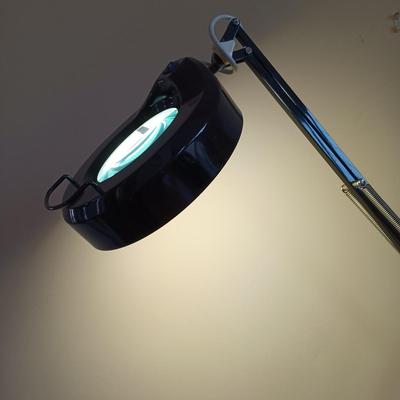 LOT 327: Magnifying Glass Floor Lamp