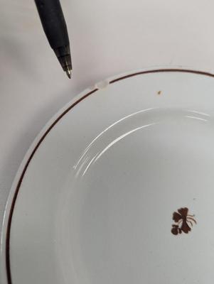 Morning Glory Ironstone Teapot Cups & Saucers