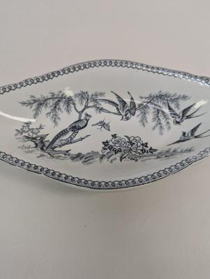 Parisian Granite Thomas Elsmore & Sons China