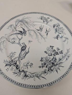Parisian Granite Thomas Elsmore & Sons China