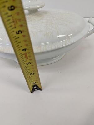 Elsmore & Forster Ironstone China