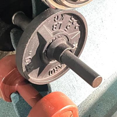 LOT 88B: Weightlifting Equipment - Barbell, Dumbbell with Over 100 Pounds of Weights and Wheeled Rack