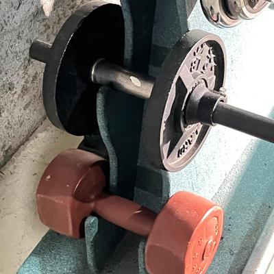 LOT 88B: Weightlifting Equipment - Barbell, Dumbbell with Over 100 Pounds of Weights and Wheeled Rack