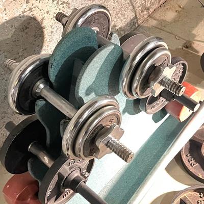 LOT 88B: Weightlifting Equipment - Barbell, Dumbbell with Over 100 Pounds of Weights and Wheeled Rack