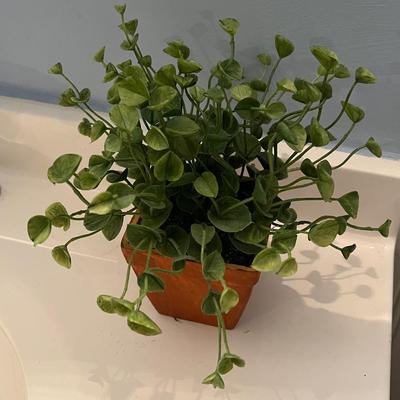 LOT 103B: Bathroom Decor and More