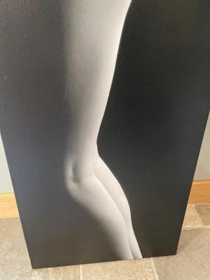 Female silhouette canvas
