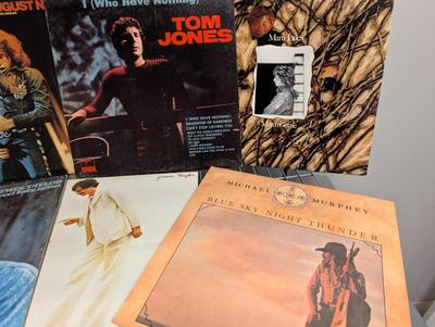 Vintage Records Paul Simon Neil Diamond Tom Jones & Other Artist Lot 1