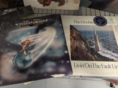 Vintage Records Elton John ZZ Top The Doors Roger Williams Randy Newman & More Artist Lot 3