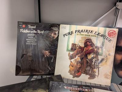 Vintage Records Elton John ZZ Top The Doors Roger Williams Randy Newman & More Artist Lot 3