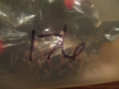 New 12 Pine Cone & 12 Poinsettia Candles #176