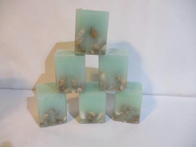 6 - New Sea Shell Candles