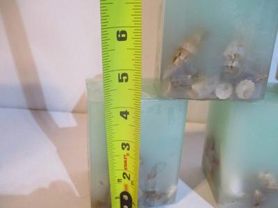 6 - New Sea Shell Candles