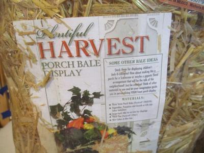 New Fall Decorations Jimmy The Light Up Scarecrow Door Greeter Clay Turkey Hay