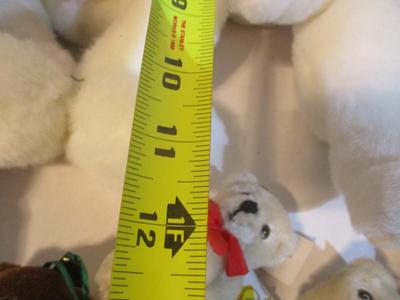 New Collection Of Teddy Bears Various Sizes
