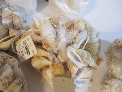 New Collection Of Seashells & Decor Sand #237