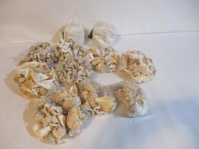 New Collection Of Seashells & Decor Sand #237